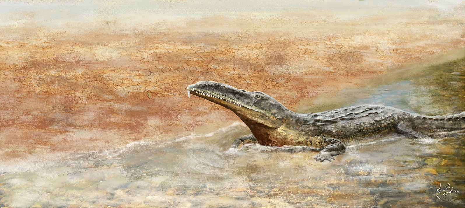 Fitossauro_Algarve_JB