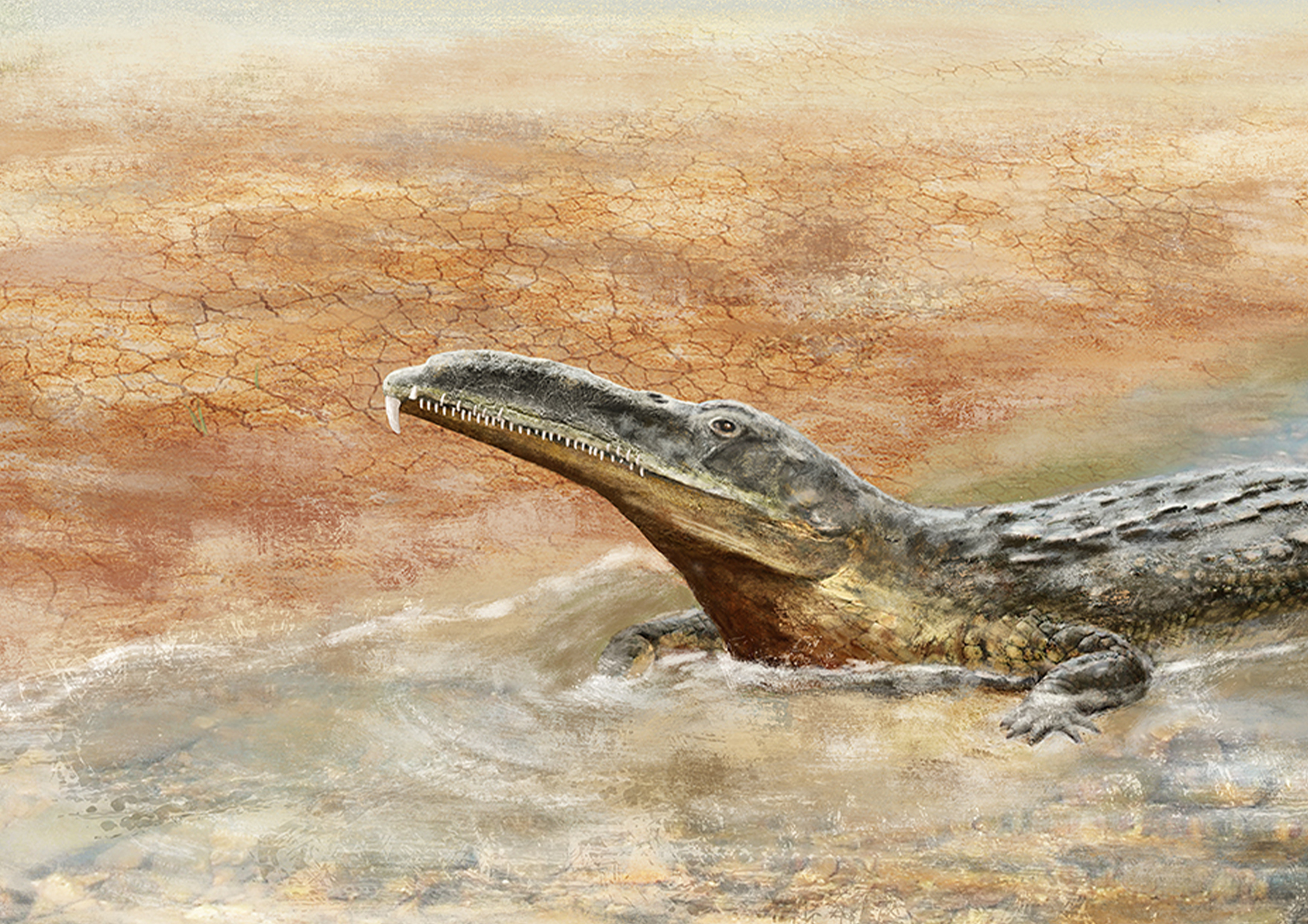 Triassic of Algarve (Portugal)